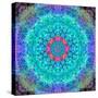 Montage of Flower Photographies in a Symmetrical Ornament, Mandala-Alaya Gadeh-Stretched Canvas