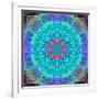 Montage of Flower Photographies in a Symmetrical Ornament, Mandala-Alaya Gadeh-Framed Photographic Print