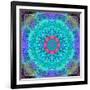 Montage of Flower Photographies in a Symmetrical Ornament, Mandala-Alaya Gadeh-Framed Photographic Print