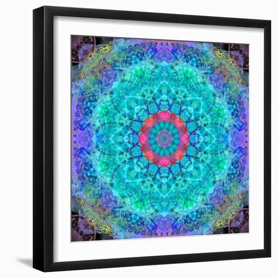 Montage of Flower Photographies in a Symmetrical Ornament, Mandala-Alaya Gadeh-Framed Photographic Print