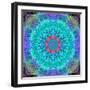 Montage of Flower Photographies in a Symmetrical Ornament, Mandala-Alaya Gadeh-Framed Photographic Print
