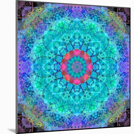 Montage of Flower Photographies in a Symmetrical Ornament, Mandala-Alaya Gadeh-Mounted Photographic Print