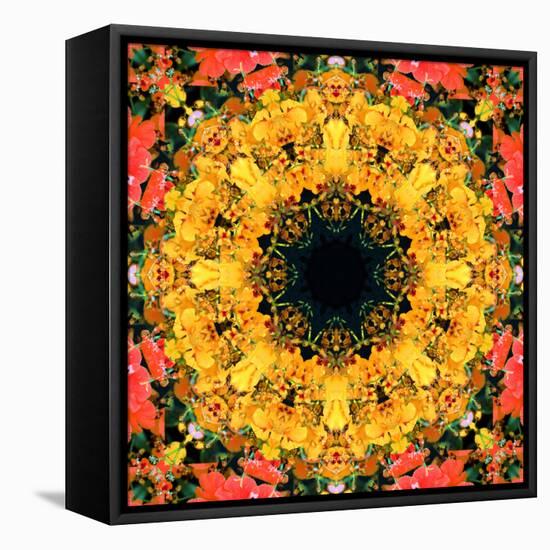 Montage of Flower Photographies, Orchids in a Symmetrical Ornament, Mandala-Alaya Gadeh-Framed Stretched Canvas