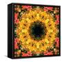 Montage of Flower Photographies, Orchids in a Symmetrical Ornament, Mandala-Alaya Gadeh-Framed Stretched Canvas