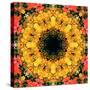 Montage of Flower Photographies, Orchids in a Symmetrical Ornament, Mandala-Alaya Gadeh-Stretched Canvas