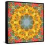 Montage of Flower Photographies, Orchids in a Symmetrical Ornament, Mandala-Alaya Gadeh-Framed Stretched Canvas