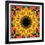 Montage of Flower Photographies, Orchids in a Symmetrical Ornament, Mandala-Alaya Gadeh-Framed Photographic Print