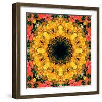 Montage of Flower Photographies, Orchids in a Symmetrical Ornament, Mandala-Alaya Gadeh-Framed Photographic Print