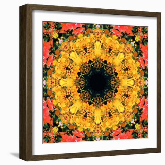 Montage of Flower Photographies, Orchids in a Symmetrical Ornament, Mandala-Alaya Gadeh-Framed Photographic Print