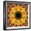 Montage of Flower Photographies, Orchids in a Symmetrical Ornament, Mandala-Alaya Gadeh-Framed Photographic Print