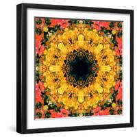 Montage of Flower Photographies, Orchids in a Symmetrical Ornament, Mandala-Alaya Gadeh-Framed Photographic Print