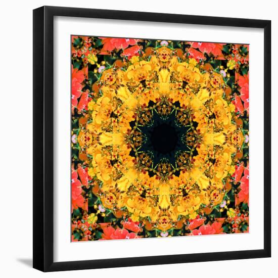 Montage of Flower Photographies, Orchids in a Symmetrical Ornament, Mandala-Alaya Gadeh-Framed Photographic Print