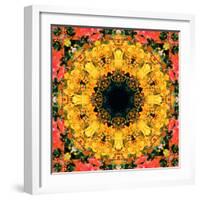 Montage of Flower Photographies, Orchids in a Symmetrical Ornament, Mandala-Alaya Gadeh-Framed Photographic Print