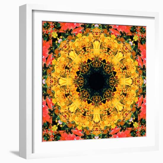 Montage of Flower Photographies, Orchids in a Symmetrical Ornament, Mandala-Alaya Gadeh-Framed Photographic Print