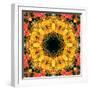 Montage of Flower Photographies, Orchids in a Symmetrical Ornament, Mandala-Alaya Gadeh-Framed Photographic Print