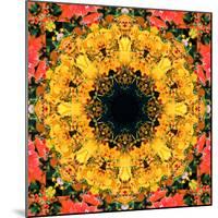 Montage of Flower Photographies, Orchids in a Symmetrical Ornament, Mandala-Alaya Gadeh-Mounted Photographic Print