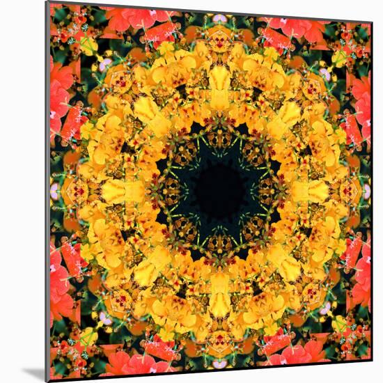 Montage of Flower Photographies, Orchids in a Symmetrical Ornament, Mandala-Alaya Gadeh-Mounted Photographic Print