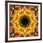 Montage of Flower Photographies, Orchids in a Symmetrical Ornament, Mandala-Alaya Gadeh-Framed Photographic Print