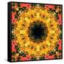 Montage of Flower Photographies, Orchids in a Symmetrical Ornament, Mandala-Alaya Gadeh-Framed Stretched Canvas