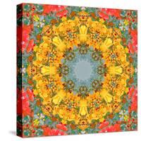 Montage of Flower Photographies, Orchids in a Symmetrical Ornament, Mandala-Alaya Gadeh-Stretched Canvas