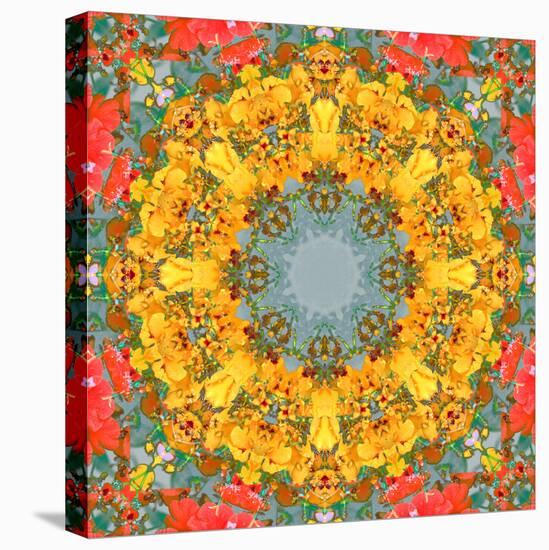 Montage of Flower Photographies, Orchids in a Symmetrical Ornament, Mandala-Alaya Gadeh-Stretched Canvas