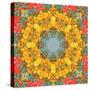 Montage of Flower Photographies, Orchids in a Symmetrical Ornament, Mandala-Alaya Gadeh-Stretched Canvas