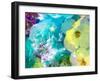 Montage of Flower Photographies-Alaya Gadeh-Framed Photographic Print