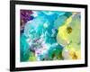 Montage of Flower Photographies-Alaya Gadeh-Framed Photographic Print