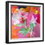 Montage of Flower Photographies-Alaya Gadeh-Framed Photographic Print