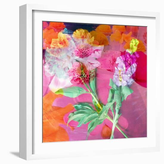 Montage of Flower Photographies-Alaya Gadeh-Framed Photographic Print