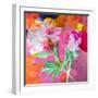 Montage of Flower Photographies-Alaya Gadeh-Framed Photographic Print