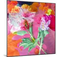 Montage of Flower Photographies-Alaya Gadeh-Mounted Photographic Print