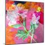 Montage of Flower Photographies-Alaya Gadeh-Mounted Photographic Print