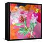 Montage of Flower Photographies-Alaya Gadeh-Framed Stretched Canvas