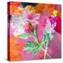 Montage of Flower Photographies-Alaya Gadeh-Stretched Canvas
