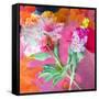 Montage of Flower Photographies-Alaya Gadeh-Framed Stretched Canvas