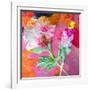 Montage of Flower Photographies-Alaya Gadeh-Framed Photographic Print