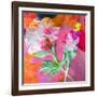 Montage of Flower Photographies-Alaya Gadeh-Framed Photographic Print