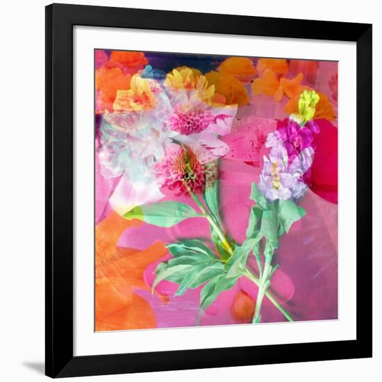 Montage of Flower Photographies-Alaya Gadeh-Framed Photographic Print