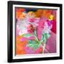 Montage of Flower Photographies-Alaya Gadeh-Framed Photographic Print