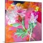 Montage of Flower Photographies-Alaya Gadeh-Mounted Photographic Print