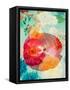 Montage of Flowers in Water, Composing-Alaya Gadeh-Framed Stretched Canvas