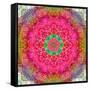 Montage of Flowers, Photographies in a Symmetrical Ornament, Mandala-Alaya Gadeh-Framed Stretched Canvas