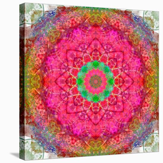 Montage of Flowers, Photographies in a Symmetrical Ornament, Mandala-Alaya Gadeh-Stretched Canvas