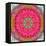 Montage of Flowers, Photographies in a Symmetrical Ornament, Mandala-Alaya Gadeh-Framed Stretched Canvas