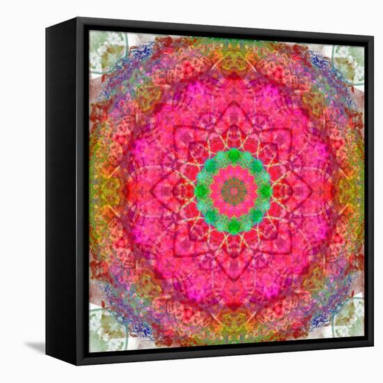 Montage of Flowers, Photographies in a Symmetrical Ornament, Mandala-Alaya Gadeh-Framed Stretched Canvas