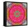 Montage of Flowers, Photographies in a Symmetrical Ornament, Mandala-Alaya Gadeh-Framed Stretched Canvas