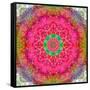 Montage of Flowers, Photographies in a Symmetrical Ornament, Mandala-Alaya Gadeh-Framed Stretched Canvas