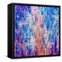 Montage of Grasses-Alaya Gadeh-Framed Stretched Canvas