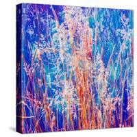 Montage of Grasses-Alaya Gadeh-Stretched Canvas